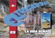 El Trigarral - Revista de Cultura Campesina de la Comarca del Arlanza Nº223