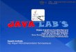 Memorias 5 Java Lab's