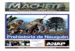 Revista Machete 115