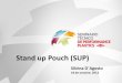 Stand Up Pouch 100% PE