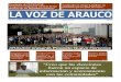 La Voz de Arauco - Enero 2012