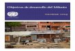 Objetivos de Desarrollo del Milenio (informe 2009)