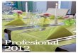 DUNI: catálogo profesional 2012