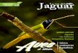 La voz del Jaguar - Boletín Bimestral