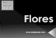 Flores Nueva Colección 2012