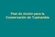 Plan de accion para la conservacion de Tupinambis