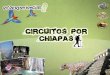 Circuitos por Chiapas
