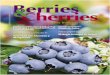 Berries & Cherries - Edición 21, Octubre-Noviembre 2013
