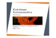 Catálogo Salamandra Bisutería Mayo 2013