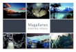Libro Magallanes y la Antártica Chilena