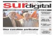 Diario Sur Digital Marzo 2012