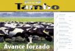 Tambo Nº 19 - Octubre 2008