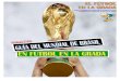 Guia Mundial Brasil | Futbol en la Grada