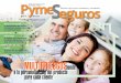 Revista Pymeseguros Nº 33 marzo 2014