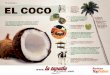 Infografía El Coco
