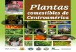 Plantas Comestibles en Centro America