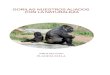 Gorilas nuestros aliados con la natuiraleza