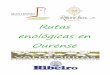 Rutas enológicas Ourense
