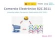 Presentación Estudio sobre Comercio Electrónico B2C 2011 Edición 2012