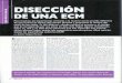 Artículo sobre la Disercion de una EMC - Andrés Vázquez