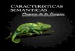 CCARACTERISTICAS SEMANTICAS PROPIAS DE LA IMAGEN (2012)