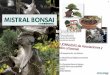Revista Mistral Bonsai digital 1