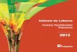 Informe de labores fondos parafiscales palmeros 2012