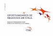 Oportunidades de Negocio en Chile – ProChile