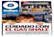 Reporte Indigo: CUDIDADO CON EL GAS 'SHALE' 31 Octubre 2013