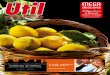 Revista Util Marzo 2011