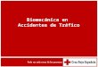 Biomecánica en Accidentes de Tráfico