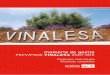Memòria de Gestió PSPV/PSOE VINALESA 2007-2011