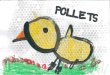 Projecte p3 b pollets