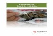 Casas de Acogida para gatos, Proyecto CES Zaragoza