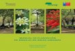 Manual de Plantación de Arboles en Areas Urbanas