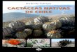 Cactaceas Nativas Chilenas 2013