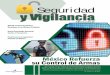 Seguridad y Vigilancia México 2014