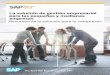 SAP BusinessOne para PYMES - Seresco