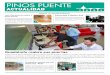 Pinos Puente Actualidad | XV Edición | Junio-Julio 2014