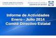 Informe de Actividades Enero - Julio 2014 Comité Directivo Estatal