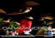 CARAMANCHOS - Nº 10 (2009)