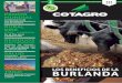 Revista Cotagro 471-472