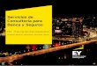 Brochure EY FSO Consulting