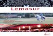 Lemasur magazine 2010 (fourth quarter)