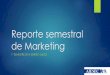 Reporte semestral de Marketing 2014.1