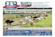 Hojas Políticas no. 192 :: Evalúan argentinos sanidad de ganado duranguense