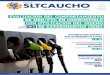 Revista SLTCaucho - Edición n°3