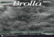 Brolla 15 (2008)