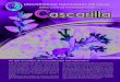 Informativo Cascarilla Nº2 - UNL