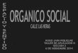 Orgánico Social Las Heras